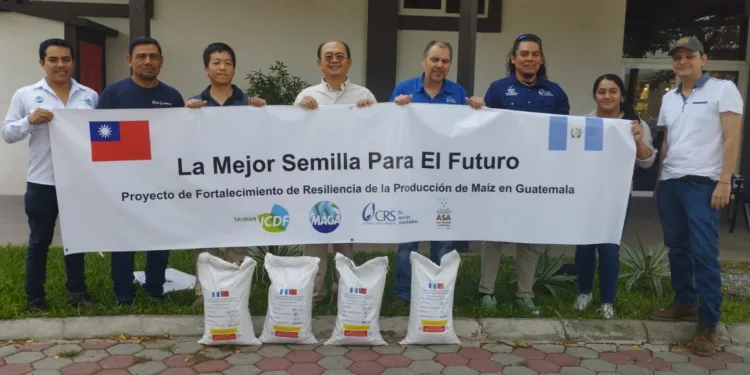 Semillas de maíz certificadas desarrolladas por Taiwán llegan a Chiquimula y Zacapa