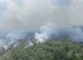 Incendios forestales han afectado a 400 familias en el sur de Belice