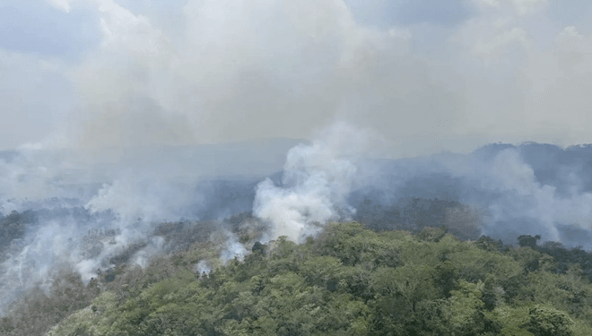 Incendios forestales han afectado a 400 familias en el sur de Belice