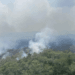 Incendios forestales han afectado a 400 familias en el sur de Belice