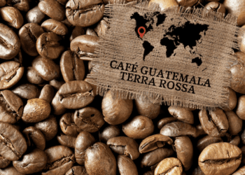 Canciller taiwanés pide a las empresas de su país que compren café guatemalteco