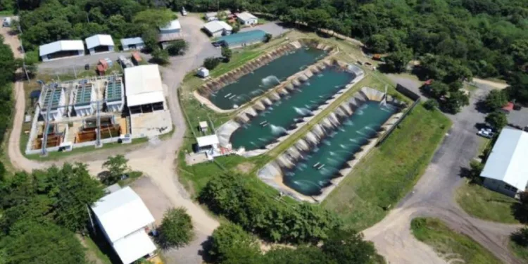 Guatemala revoca concesión de mina Cerro Blanco y denuncia anomalías