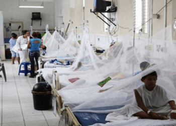 Honduras bajo emergencia sanitaria por dengue