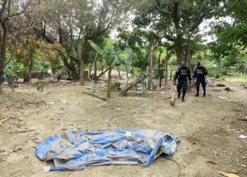 Costa Rica alcanza los 400 homicidios antes de terminar el primer semestre