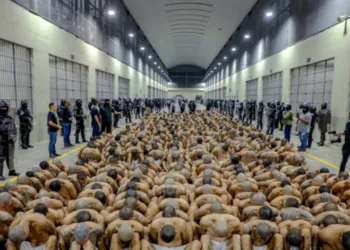 Trasladan a 2,000 pandilleros más a la megacárcel salvadoreña