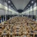 Trasladan a 2,000 pandilleros más a la megacárcel salvadoreña