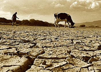 Centroamérica lucha contra la desertificación y la sequía