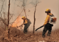 Guatemala ha perdido más de 49 mil hectáreas por incendios forestales este año