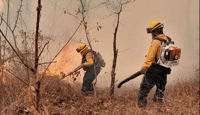 Guatemala ha perdido más de 49 mil hectáreas por incendios forestales este año