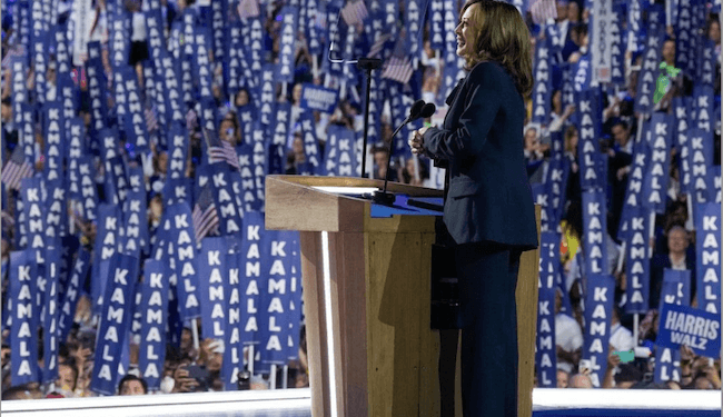 Kamala Harris: esto es lo que sabemos de la candidata demócrata a la Casa Blanca