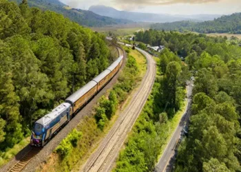 Gobierno dice que hay interés internacional en apoyar la mega obra tren David-Panamá