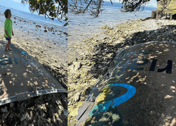 Hombre descubre desechos espaciales mientras buceaba en isla hondureña