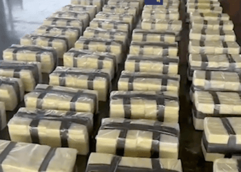 Costa Rica se incauta más de 1,300 kilos de cocaína en puerto de Limón