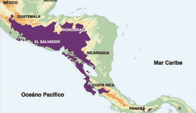 Fews Net advierte de menor producción agrícola en el corredor seco centroamericano