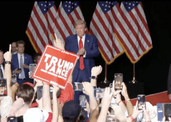 Otro intento de asesinato, afirmaciones infundadas sobre mascotas y Taylor Swift: las elecciones estadounidenses son salvajes, pero ¿importa algo de eso?