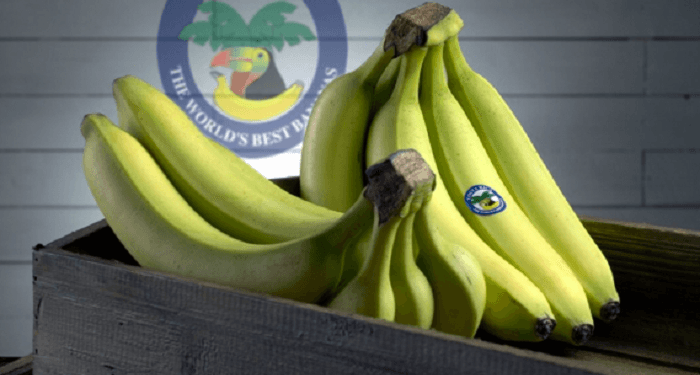 Caña, banano, palma aceitera y café, los principales productos agrícolas de Costa Rica