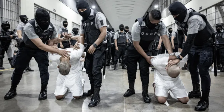 El Salvador recibe a 238 prisioneros miembros del Tren de Aragua y 23 de la MS-13 enviados por EEUU