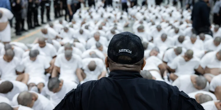 El Salvador recibe a 238 prisioneros miembros del Tren de Aragua y 23 de la MS-13 enviados por EEUU