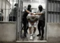 El Salvador recibe a 238 prisioneros miembros del Tren de Aragua y 23 de la MS-13 enviados por EEUU