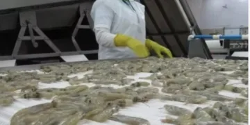 Relación con China, entre la opacidad y la falta de beneficios, según analista hondureño