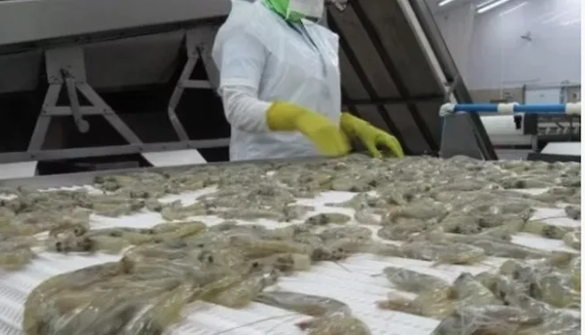 Relación con China, entre la opacidad y la falta de beneficios, según analista hondureño