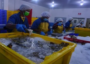 EEUU advierte sobre riesgos sanitarios en mariscos exportados por empresa china promovida por dictadura nicaragüense