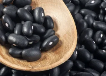 Guatemala importará maíz y frijoles libre de arancel por menor producción agrícola