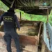 Honduras intensifica lucha contra el narcotráfico, pero enfrenta grandes desafíos como la corrupción, según EEUU