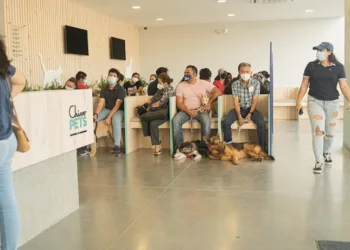 Bukele cierra hospital veterinario e Instituto de Bienestar Animal alegando quejas de la población