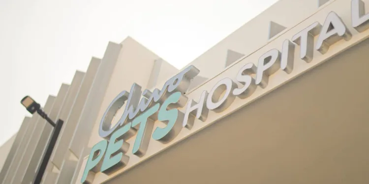 Bukele da marcha atrás y reabre el hospital veterinario Chivo Pets tras una controversia en redes sociales