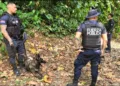 Costa Rica: matan a policía en enfrentamiento con banda criminal y narcos amenazan a agentes