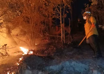 Guatemala reporta más de 215 incendios atendidos en 2025