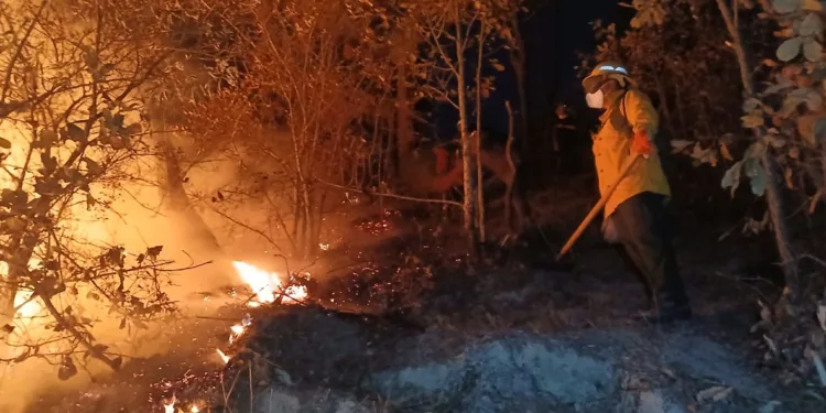 Guatemala reporta más de 215 incendios atendidos en 2025