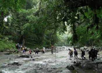 Panamá declara cerrado el paso migratorio por el Darién tras caída histórica en el flujo de migrantes