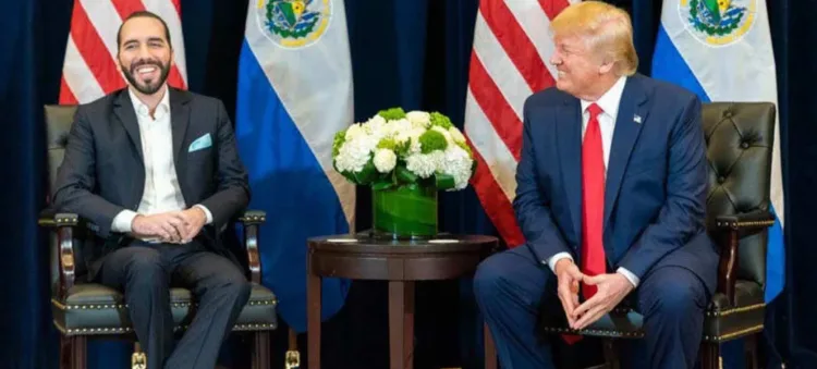 Trump y Bukele se reúnen hoy en la Casa Blanca para “afianzar” su alianza contra el crimen transnacional