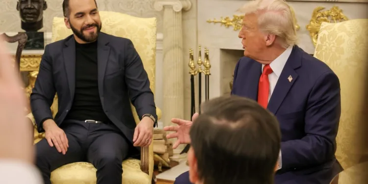 Bukele y Trump se reúnen entre elogios mutuos y cooperación en seguridad