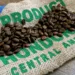 Café hondureño genera más de $1,200 millones en divisas en 2025