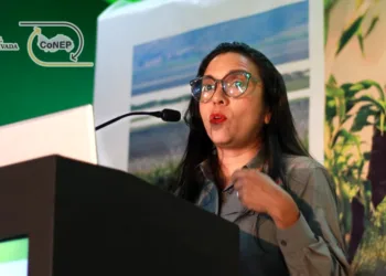 Preocupación en Panamá: exportadores solicitan intervención ante los aranceles de EEUU