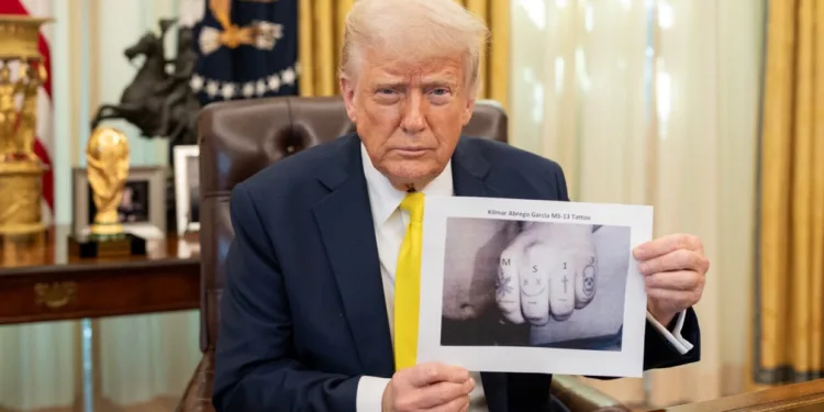 Trump presenta foto de tatuajes para vincular a migrante salvadoreño deportado con pandilla MS-13