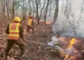 Honduras ha perdido más de 15,700 hectáreas por incendios forestales en 2025