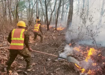Honduras ha perdido más de 15,700 hectáreas por incendios forestales en 2025