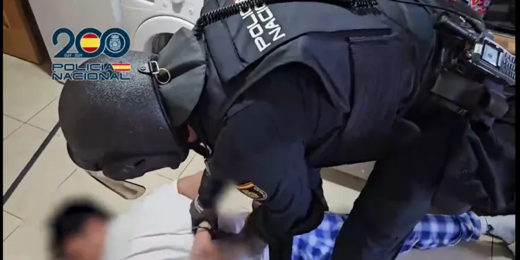 España desmantela estructura de la MS13 que seguía el “manual diseñado” en El Salvador