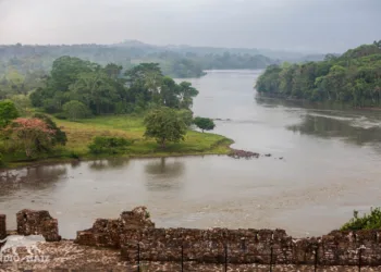Organización ambiental denuncia expansión de minería ilegal en reserva Indio Maíz en Nicaragua