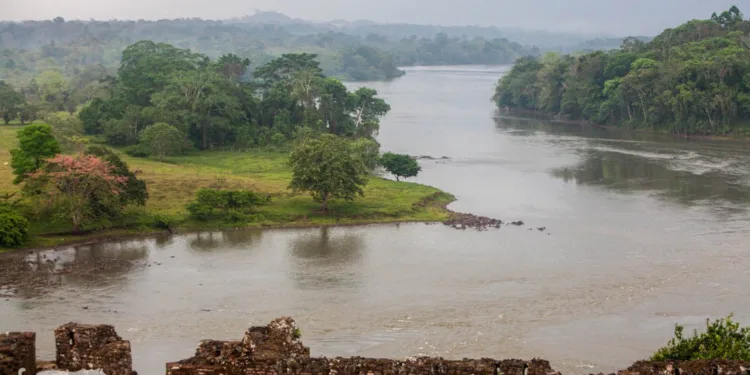 Organización ambiental denuncia expansión de minería ilegal en reserva Indio Maíz en Nicaragua
