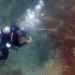 Descubren en Costa Rica dos barcos esclavistas daneses hundidos en 1710