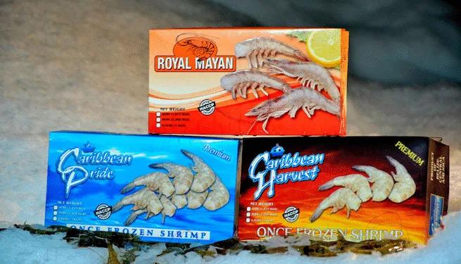 Belice empezará a exportar camarón blanco a Taiwán este año