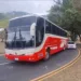 Ataque armado a bus nicaragüense deja al conductor gravemente herido en Ciudad de Guatemala