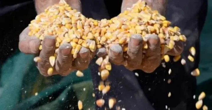 Inseguridad alimentaria afecta a 2,9 millones de guatemaltecos, según informe de la ONU