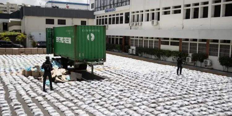 Dominicana incauta más de 3,000 paquetes de marihuana ocultos en carga de arena para gatos proveniente de Guatemala
