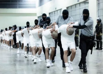 Prisioneros en el Centro de Confinamiento del Terrorismo (Cecot) en El Salvador, la megacárcel donde están recluidos al menos 250 venezolanos deportados de Estados Unidos.